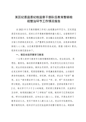 某区纪委监委纪检监察干部队伍教育整顿检视整治环节工作情况报告.docx