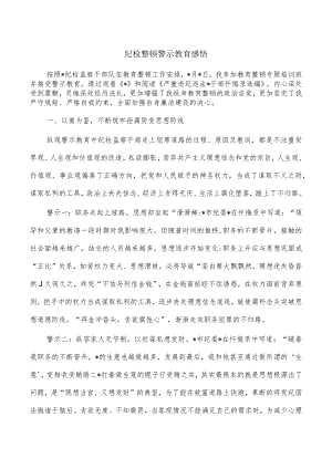 纪检整顿警示教育感悟.docx