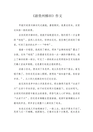 《游贵州梯田》作文.docx