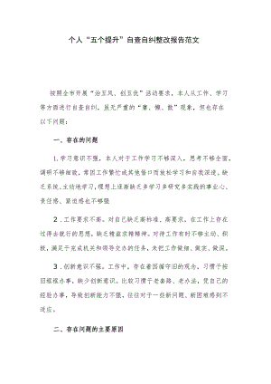 个人“五个提升”自查自纠整改报告范文.docx