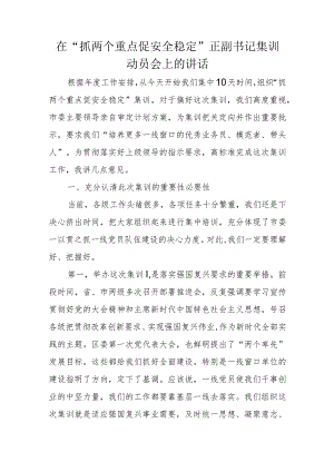 在“抓两个重点促安全稳定”正副书记集训动员会上的讲话.docx