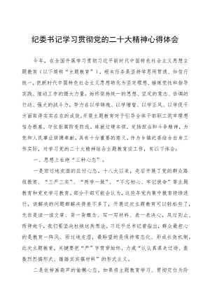 纪委书记学习贯彻党的二十大精神心得体会.docx