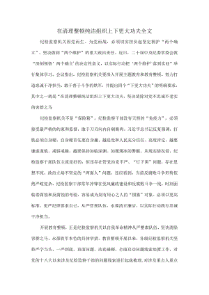 在清理整顿纯洁组织上下更大功夫全文.docx