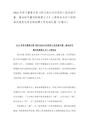 2023年学习重要文章《努力成长为对党和人民忠诚可靠、堪当时代重任的栋梁之才》心得体会与五个好标准化规范化党支部创建工作总结汇报（2篇文）.docx