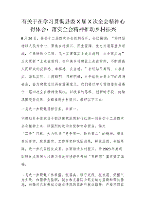 有关于在学习贯彻县委X届X次全会精神心得体会.docx