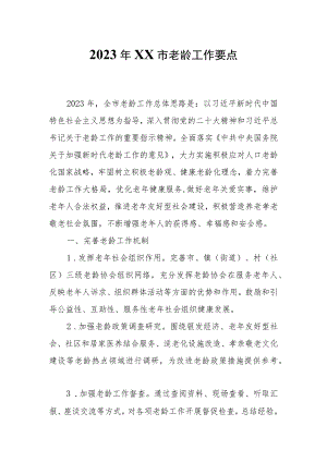 2023年XX市老龄工作要点.docx