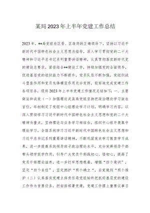 某局2023年上半年党建工作总结.docx