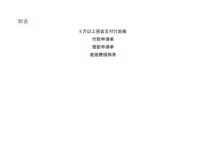 2023资金收支相关表格模板（资金支付计划、付款申请单、借款申请单、差旅费报销单）.docx