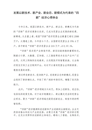 发展以新技术、新产业、新业态、新模式为代表的“四新”经济心得体会.docx