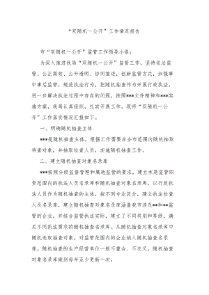 “双随机一公开”工作情况报告.docx