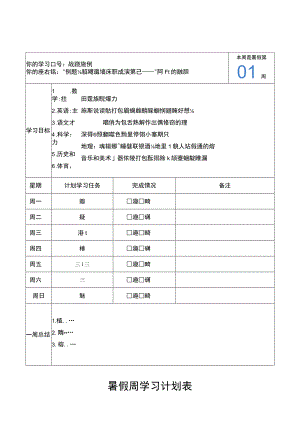 学生暑假学习计划监督执行表.docx