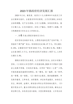 2023年镇政府经济发展汇报.docx