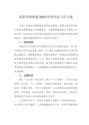 某某市国资委2023年度学法工作方案.docx