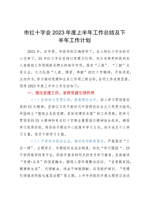 市红十字会2023年度上半年工作总结及下半年工作计划.docx