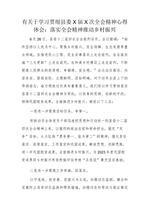 有关于学习贯彻县委X届X次全会精神心得体会.docx