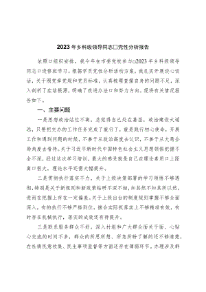 2023年乡科级领导干部党性分析报告.docx