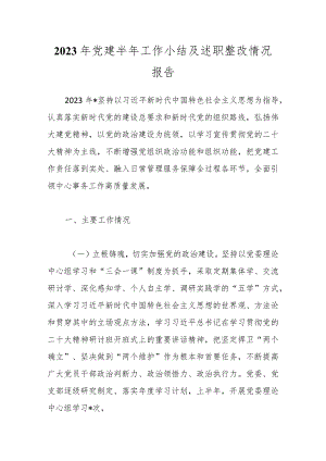 2023年党建半年工作小结及述职整改情况报告.docx