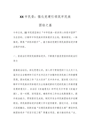 XX市民委：强化党建引领 筑牢民族团结之基.docx