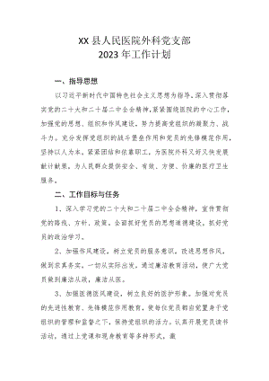 XX县人民医院外科党支部2023年工作计划.docx