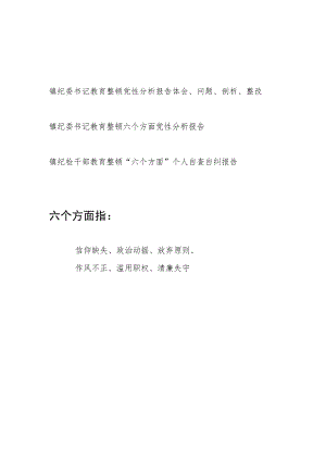 乡镇纪委书记纪检监察干部教育整顿六个方面个人党性分析报告3篇.docx