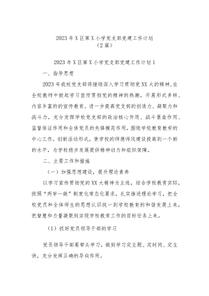 (2篇)2023年区第小学党支部党建工作计划.docx