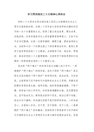 学习贯彻落实二十大精神心得体会.docx