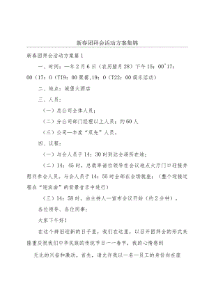 新春团拜会活动方案集锦.docx