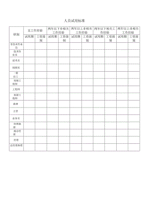 人员试用标准.docx