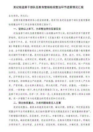 某纪检监察干部队伍教育整顿检视整治环节进展情况汇报.docx
