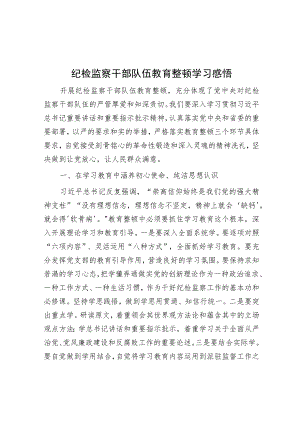 纪检监察干部队伍教育整顿学习感悟.docx