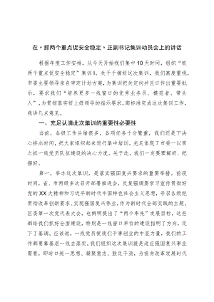 在“抓两个重点促安全稳定”正副书记集训动员会上的讲话.docx