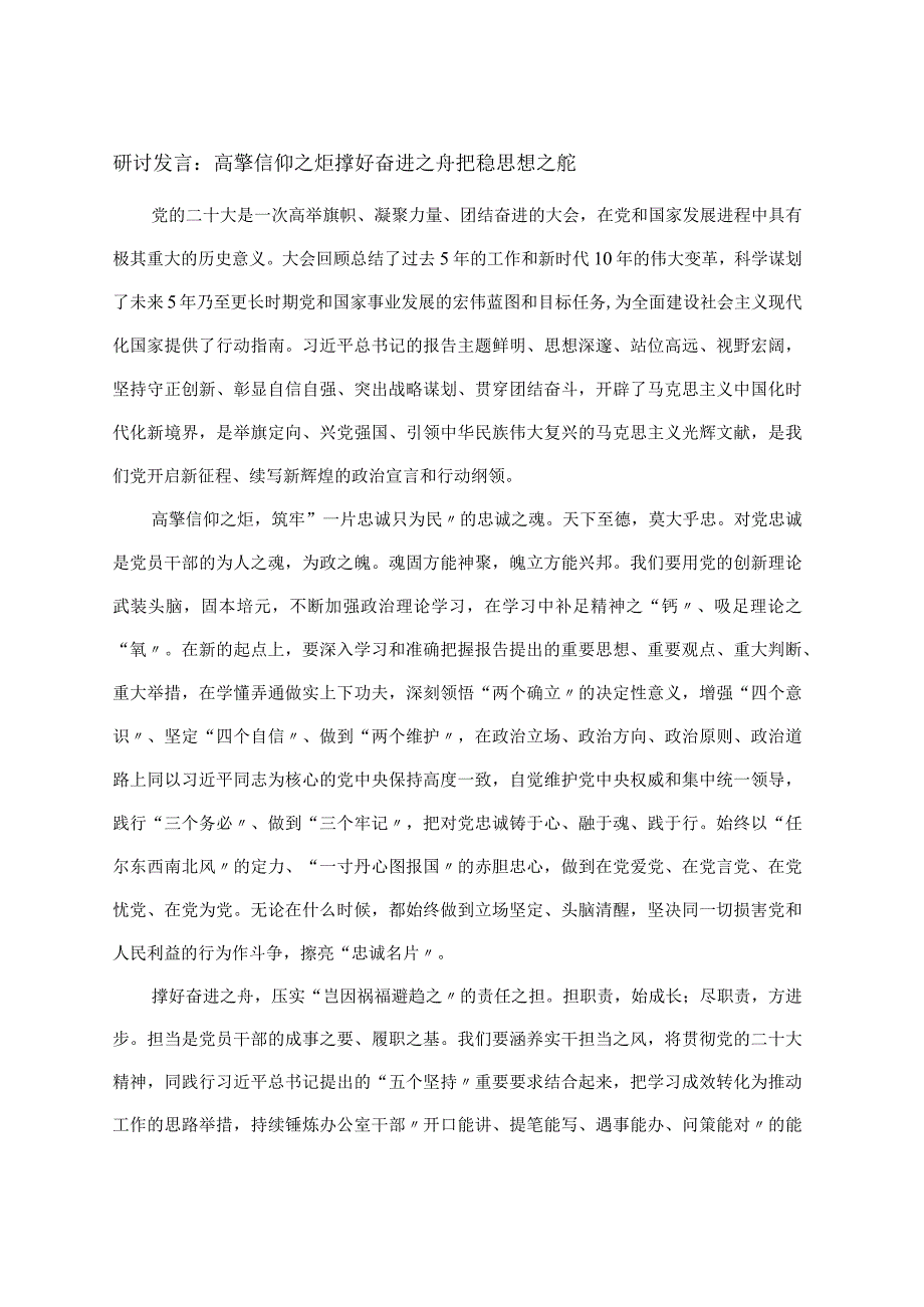 研讨发言:高擎信仰之炬 撑好奋进之舟 把稳思想之舵.docx_第1页