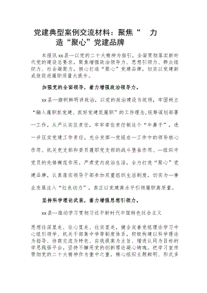 党建典型案例交流材料：聚焦“四力”打造“聚心”党建品牌.docx