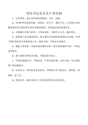 项目书记安全生产责任制.docx