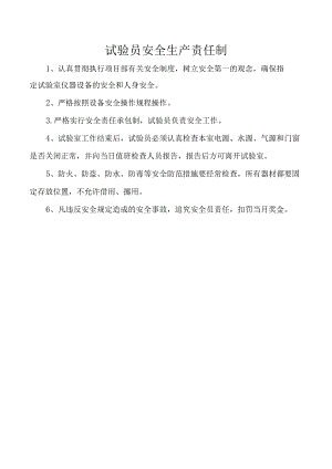 试验员安全生产责任制.docx