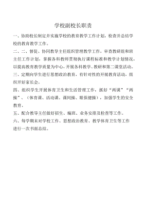 学校副校长职责.docx