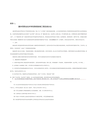湄洲湾职业技术学院教授助推工程实施办法.docx