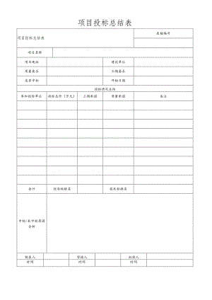项目投标总结表.docx