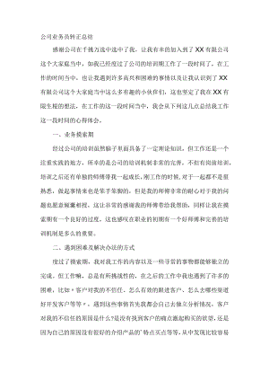 公司业务员转正总结.docx