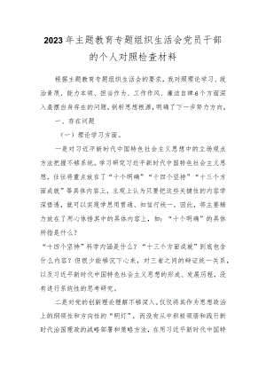 2023年主题教育专题 组织生活会党员干部的个人对照检查材料.docx