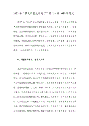 2023年“强化质量效率意识”研讨材料1620字范文.docx
