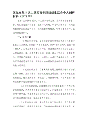 支部书记主题教育专题组织生活会个人剖析材料.docx