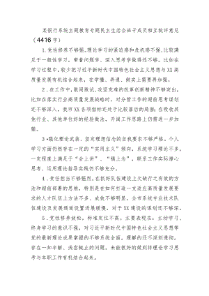 国企银行系统主题教育专题民主生活会班子成员相互批评意见.docx
