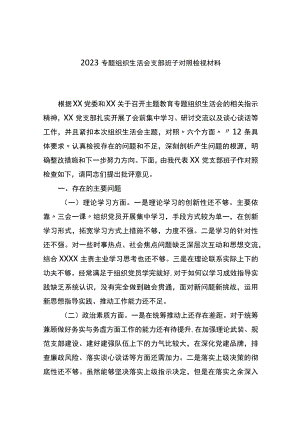 202主题教育专题组织生活会支部班子对照检视材料 .docx