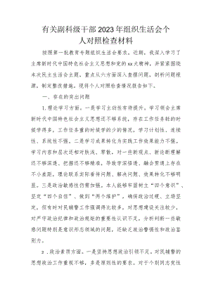 有关副科级干部2023年组织生活会个人对照检查材料.docx