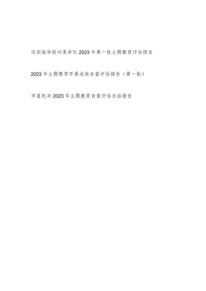 巡回指导组对某单位2023年第一批主题教育评估报告和单位党委党组主题教育开展成效自查评估报告.docx