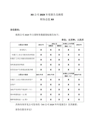 XX公司202X年度报告及摘要.docx