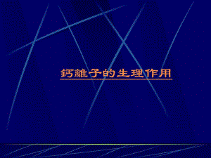 钙离子生理讨论1.ppt