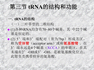 遗传密码和翻译系统.ppt