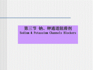 钠离子钾离子通道阻滞剂.ppt